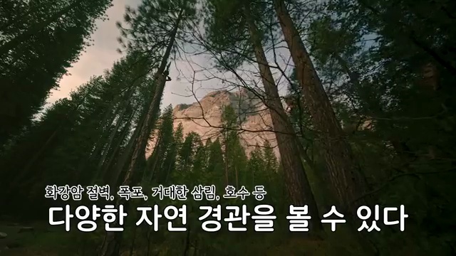 미국 즉흥 여행의 매력: 요세미티 국립공원에서의 캠핑카 모험! - 장면 2