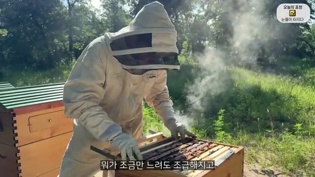 체리의 눈물, 한국을 그리워하는 감정의 여정🐶