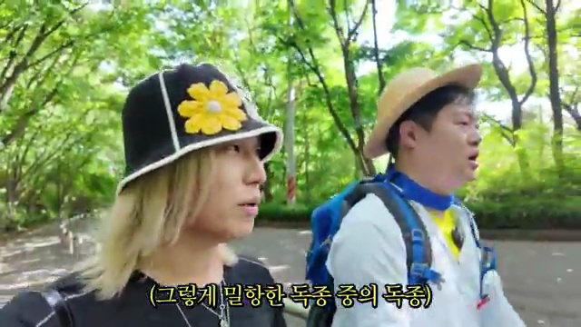 계양산의 러브버그, 실체가 궁금하다면? 감스트가 직접 체험한 충격적인 사실!