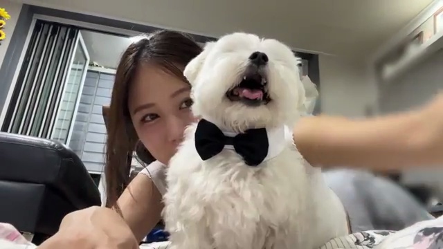 일본인 남친 눈물 터진 웨딩드레스 촬영기 💍💖 11시간의 감동적인 순간!