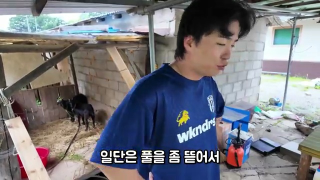 새로운 식구의 깜짝 등장! 배말랭 채널의 신비로운 이야기 🐾 - 장면 2