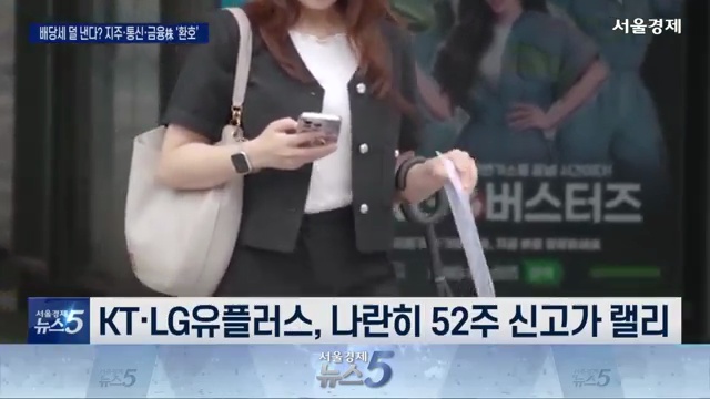 배당소득 분리과세로 웃는 투자자: 지주, 통신, 금융 주식에 닥친 호재 - 장면 3