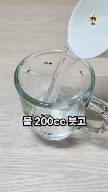 알면 평생 써먹는 생활꿀팁 5가지: 청소에서 생활 속 작은 팁까지!