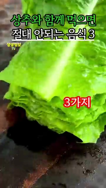 상추와 함께 먹으면 안되는 음식 3가지: 건강을 위한 중요 정보! - 장면 1